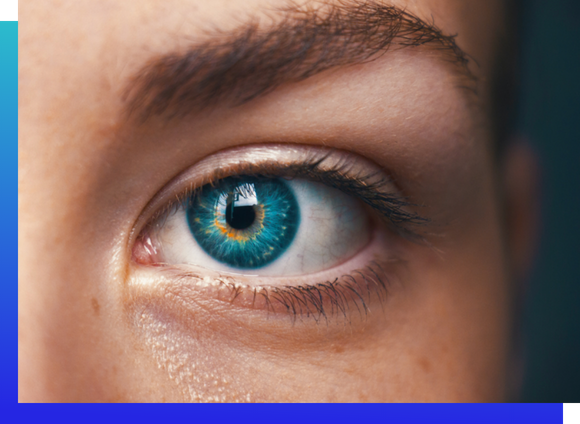 Vision — perception and insight