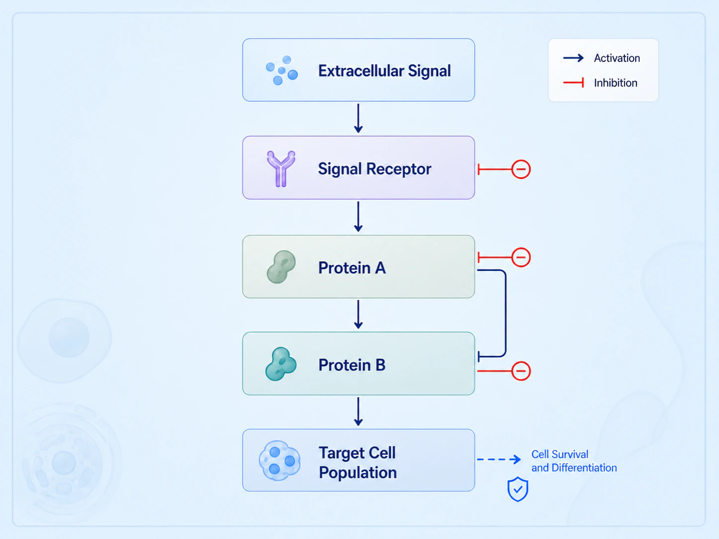 Integrated drug mechanism model connecting systemic exposure and receptor binding to intracellular signaling and target cell response